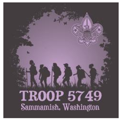Troop 5749 Class B Shirts 2025 (Fern Only)