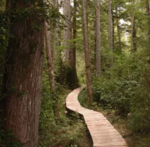 2025 Tenderfoot Trail Backpack Trip