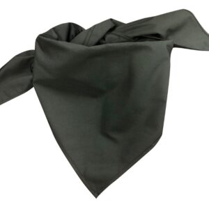 TROOP 571 Black Neckerchief