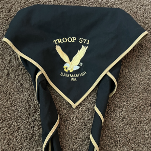 TROOP 571 Official Neckerchief
