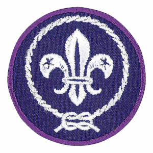 World Crest Patch